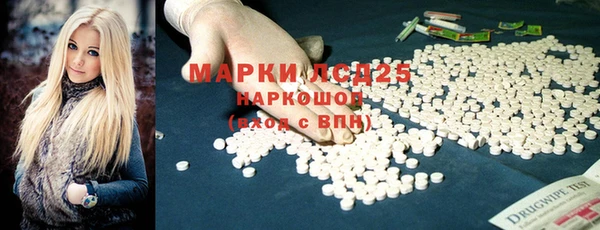 прущий лед Алзамай