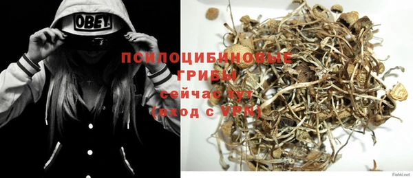 молекула духа Алексин