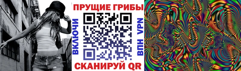 Псилоцибиновые грибы Cubensis Серпухов