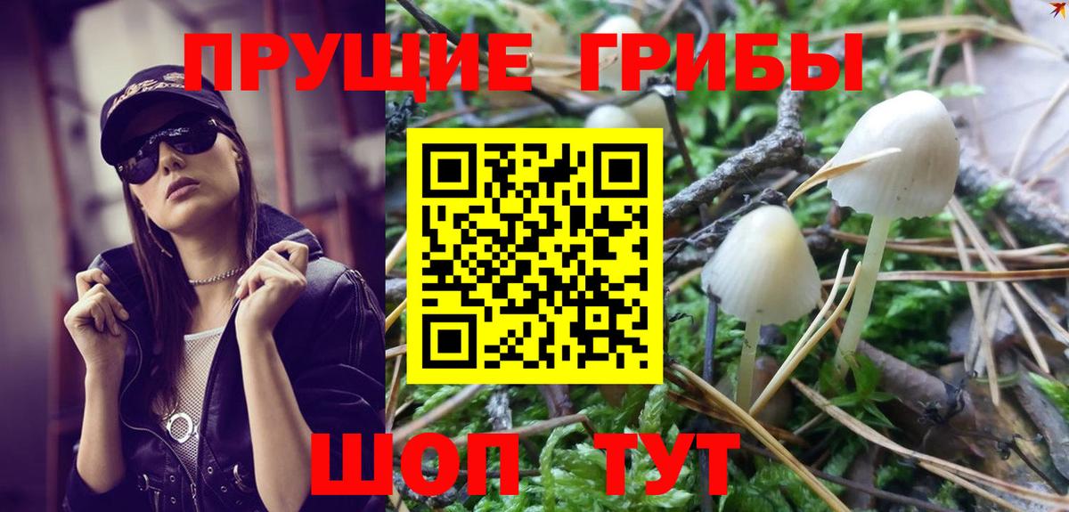 Псилоцибиновые грибы Psilocybine cubensis Серпухов