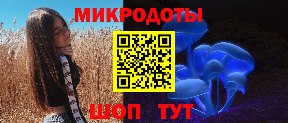 Галлюциногенные грибы Psilocybe  Вход с VPN  Серпухов 